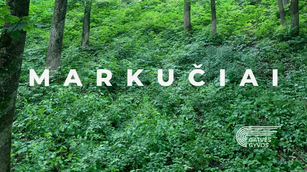 markuciai-cover-2021