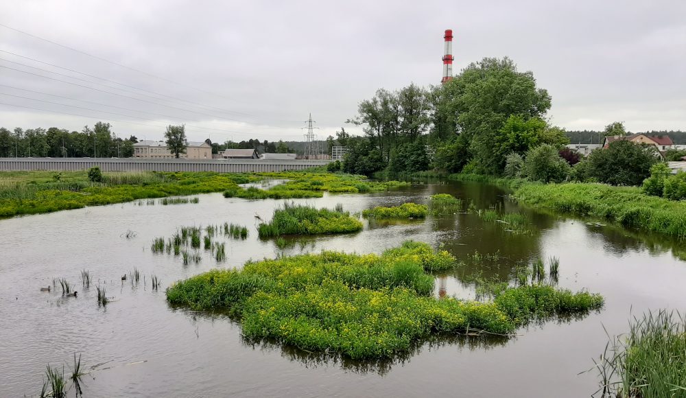 20200613_114627-aspect-ratio-1000-580