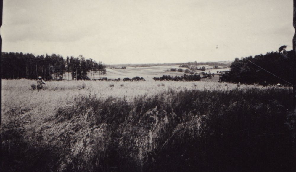 Fa-22805-1081_auksciausia-1-aspect-ratio-1000-580