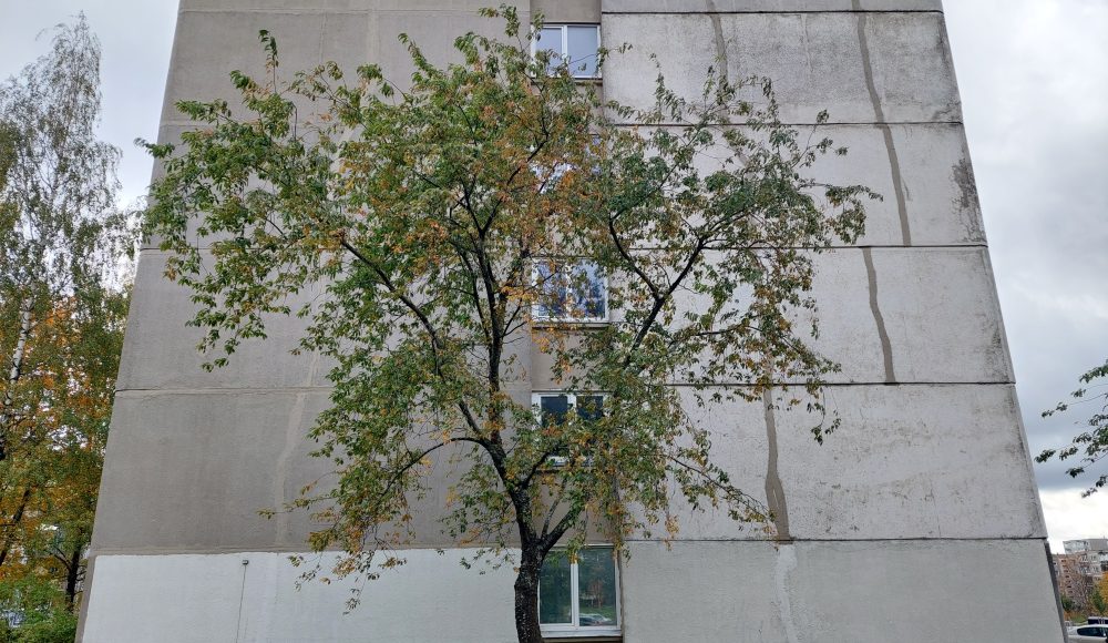 20241015_151303-aspect-ratio-1000-580