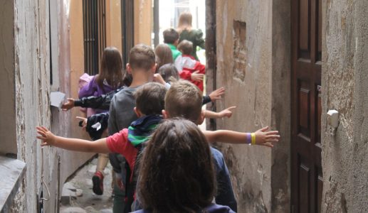 IMG_2985-aspect-ratio-1315-750-aspect-ratio-517-300