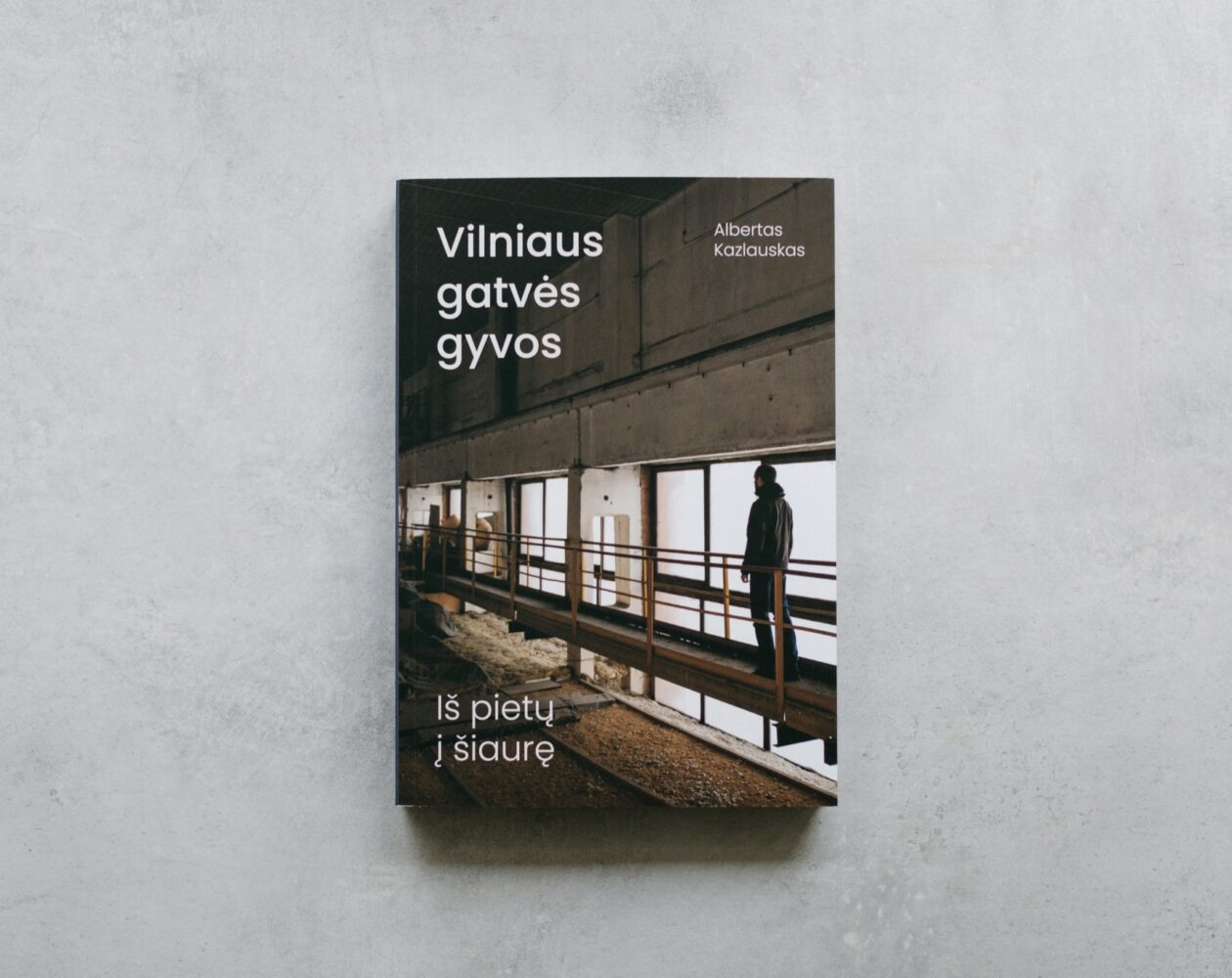 Knyga „Vilniaus gatvės gyvos. Iš pietų į šiaurę“ [2023]