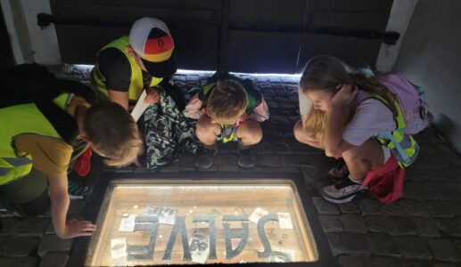 20240805_143008-aspect-ratio-1315-750-aspect-ratio-517-300