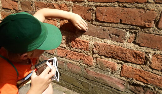 Kaunas_Vilnius-aspect-ratio-517-300