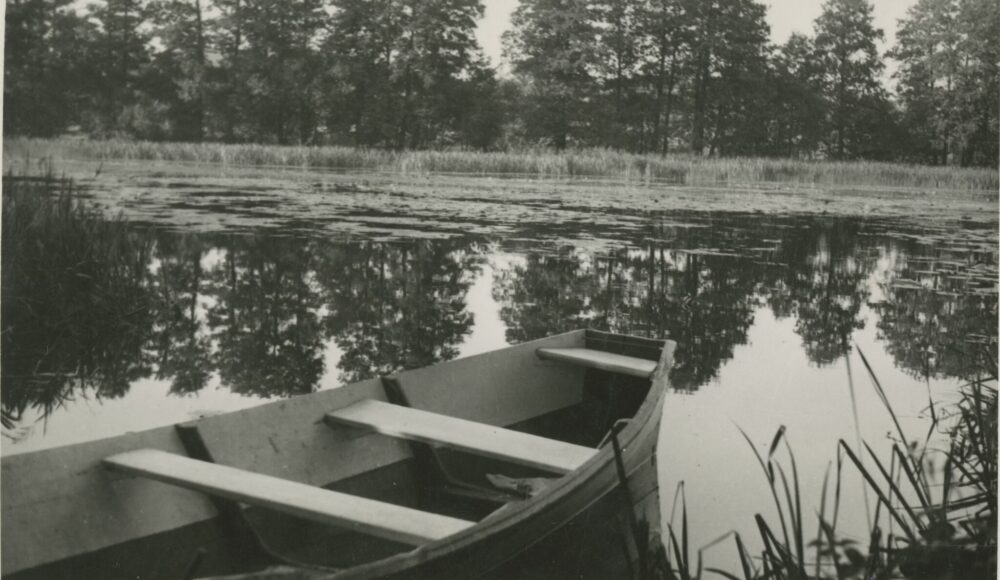 ZFp-3330.a_auksciausia-aspect-ratio-1000-580
