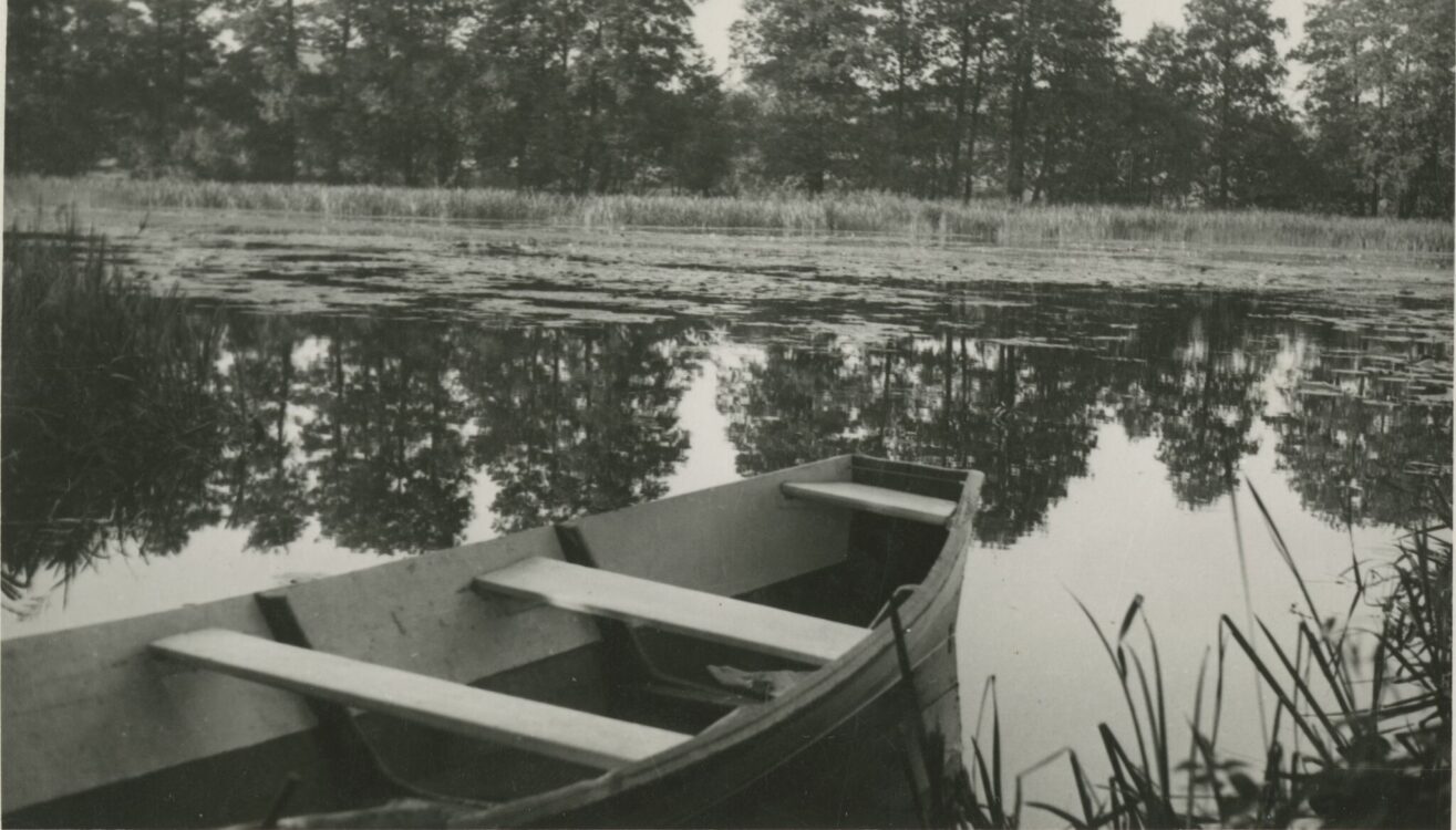 ZFp-3330.a_auksciausia-aspect-ratio-1315-750